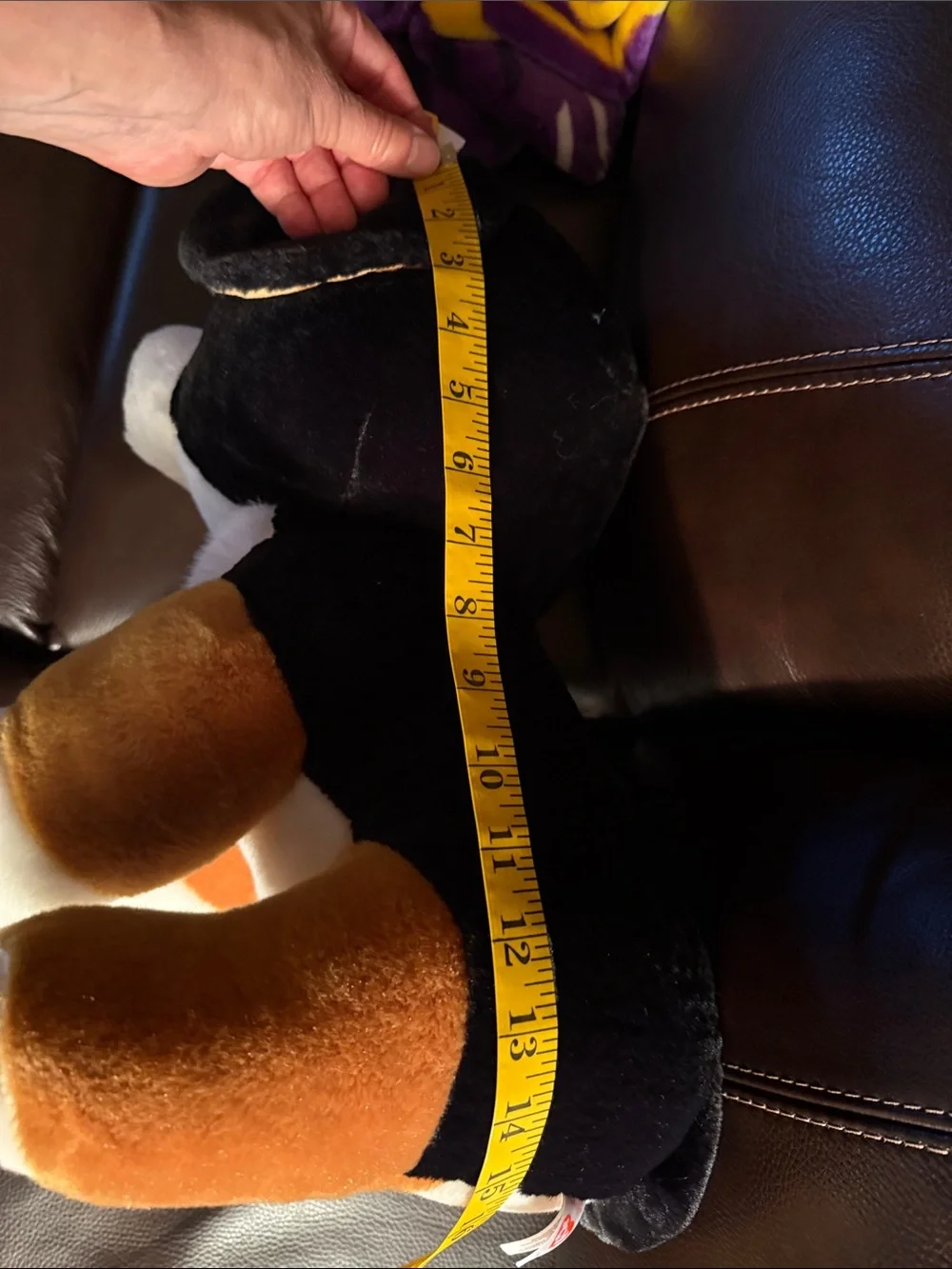 TY Rosco large.  Like new with tags.